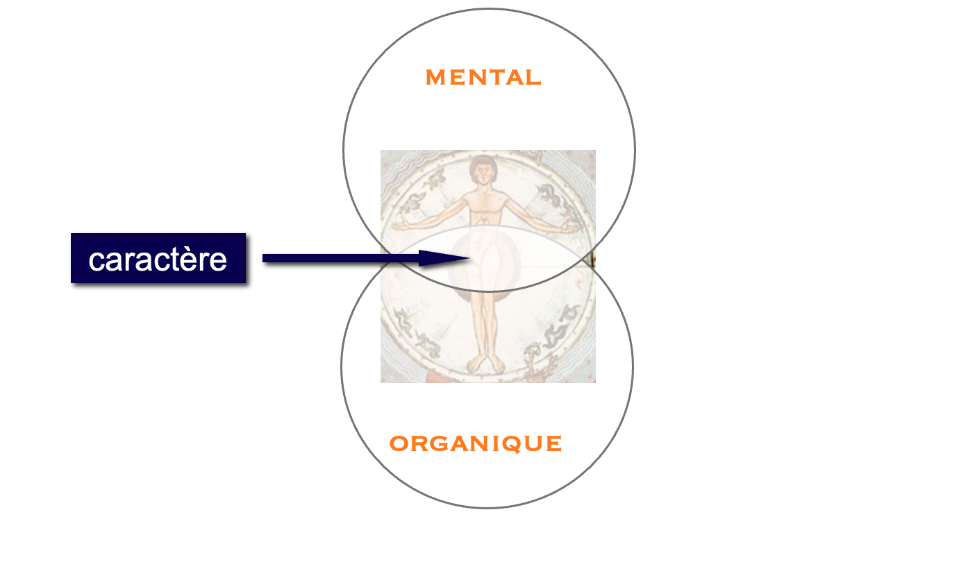 Schéma montrant le caractère à l’intersection du mental et de l’organique.