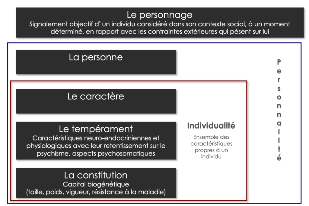 Schéma des composantes de la personnalité : constitution, tempérament, caractère, personne et personnage.